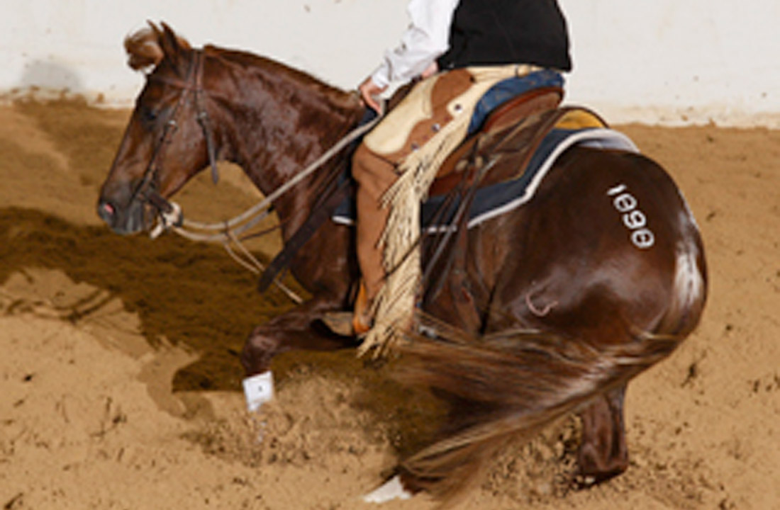 Crown Ranch NCHA Futurity 2YearOld Sale breaks all records